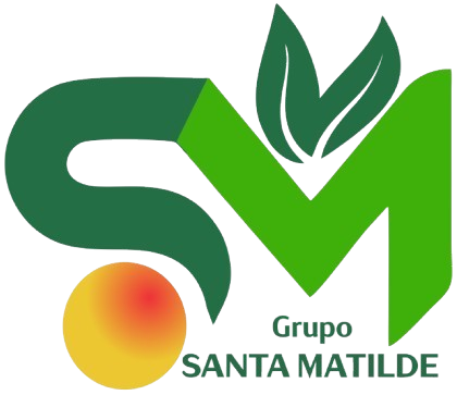 Grupo Santa Matilde